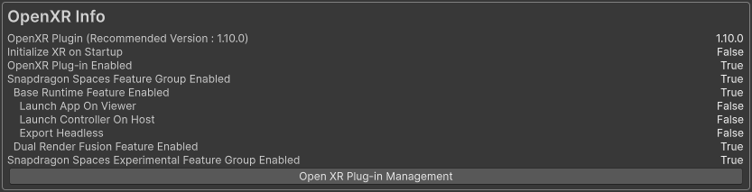 OpenXRInfo